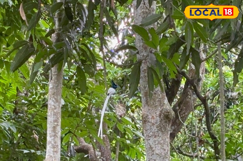 তাহলে আর দেরি কেন? হাতে যদি সময় থাকে, একদিনের জন্য হলেও ঘুরে আসুন পূর্ব বর্ধমানের পূর্বস্থলী। প্রকৃতির সান্নিধ্য, পাখিদের কলকাকলি আর মনোমুগ্ধকর দৃশ্য আপনাকে এনে দেবে অন্যরকম এক শান্তি। হয়তো ফিরে এসে আপনার মনও বলবে চুপি সত্যিই এক দারুন জায়গা। (তথ্য ও ছবি: বনোয়ারীলাল চৌধুরী)