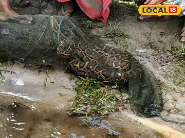 বর্ষার সাহু নদীতে জাল ফেলেছিলেন মাঝি, জাল তুলতেই মাছের সঙ্গে যা উঠল চক্ষু চড়কগাছ! দে ছুট! গ্রামজুড়ে শোরগোল