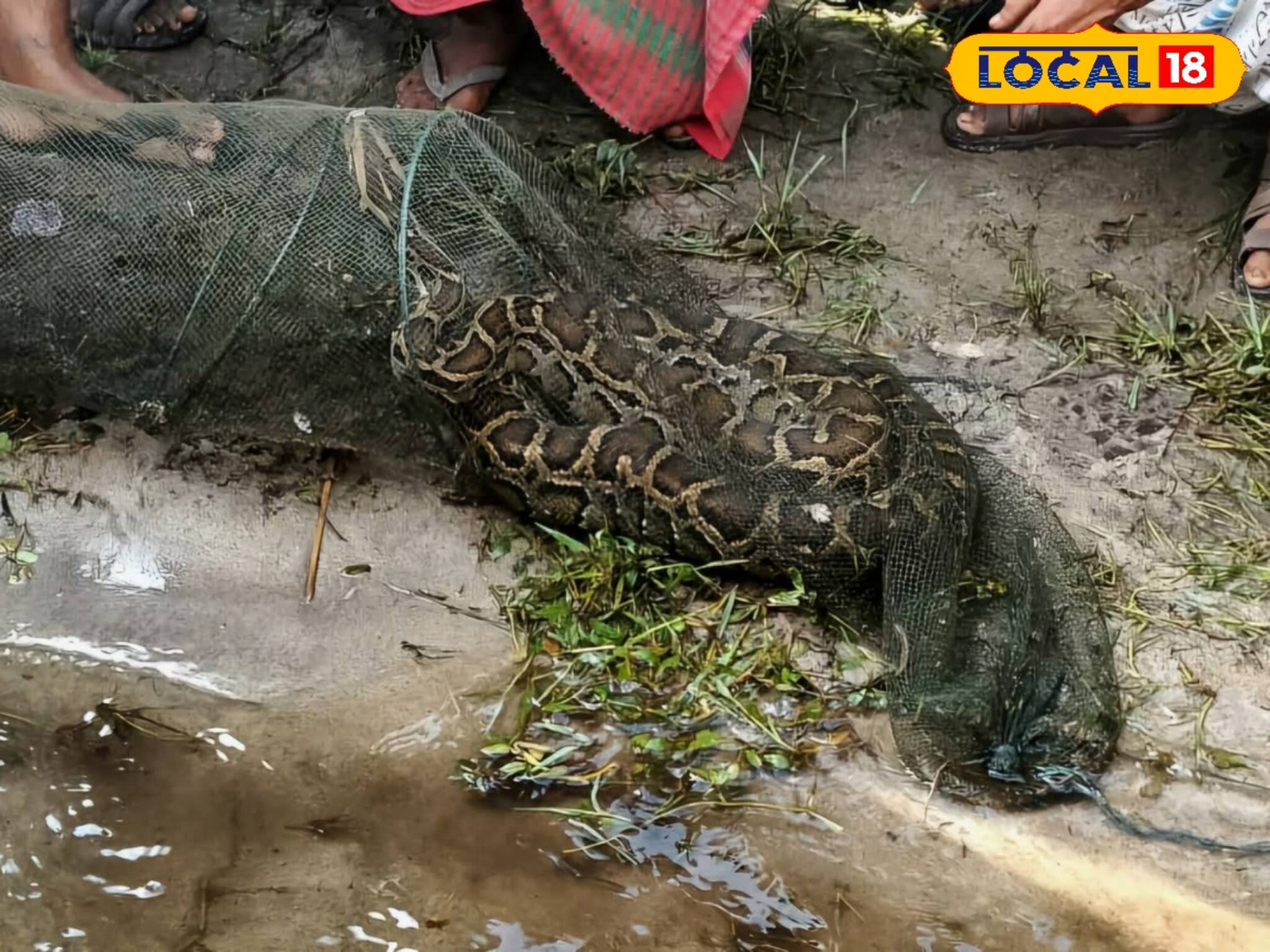 সাহু নদীতে জাল ফেলেছিলেন মাঝি, জাল তুলতেই মাছের সঙ্গে যা উঠল চক্ষু চড়কগাছ! দে ছুট!