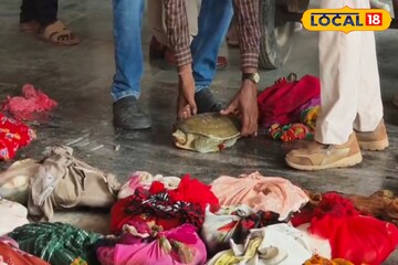 ব্যাগ খুলে অবাক পুলিশ, বেরোল ডজন ডজন কচ্ছপ ব্যাগ খুলে অবাক পুলিশ, বেরোল ডজন ডজন কচ্ছপ