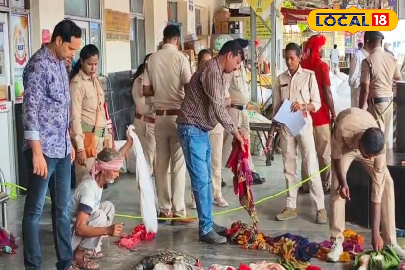 আরপিএফ অধিকারিক তাদের গ্রেফতার পর খবর দেয় বন দফতরে। খবর পেয়ে মালদা টাউন স্টেশনে যায় বন দফতরের আধিকারিকরা। এরপর উদ্ধার হওয়া কচ্ছপগুলি উদ্ধারের পর তুলে দেওয়া হয় বন দফতরের হাতে। আগামীকাল ধৃতদের মালদা জেলা আদালতে পেশ করা হবে বলে জানা গেছে।