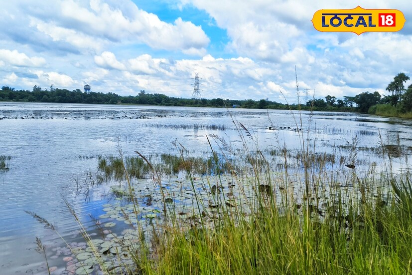 শ্রাবণ মাস শেষ হতে না হতেই ভাদ্রের রোদ ঝলমলে নীল আকাশে শুরু হয়ে গিয়েছে সাদা মেঘের খেলা। আর এমন মনোরম পরিবেশে ভ্রমণপ্রিয় বাঙালি ঘুরতে যাবেনা তা কি হয়! ( তথ্য ও চিত্র : দীপিকা সরকার)