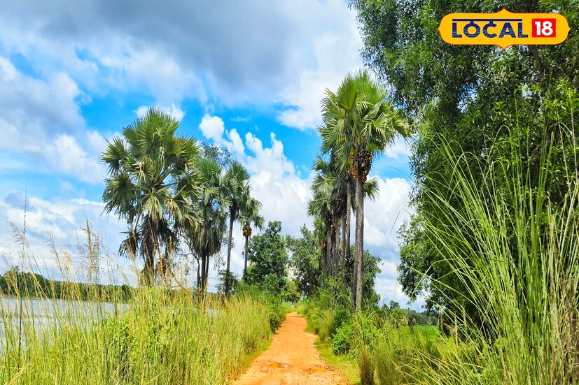 সবুজ জঙ্গলের দূষণমুক্ত অক্সিজেন ও জলাধারের অপরূপ দৃশ্য শরীর ও মন সুস্থ করে তুলবে আপনার। দুর্গাপুরের এমনই এক প্রাকৃতিক সৌন্দর্যে ভরা আকর্ষণীয় স্থান রয়েছে দুর্গাপুর - ফরিদপুর ব্লকের নাচন গ্রামে।( ছবি ও তথ্য: দীপিকা সরকার)