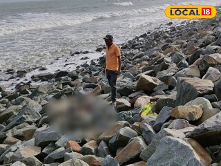 দিঘায় উদ্ধার মৃত ডলফিন