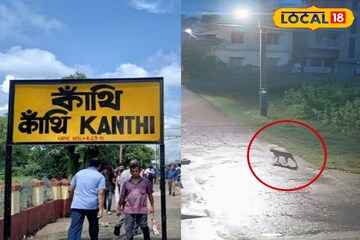 ভয়ে-আতঙ্কে ঘর থেকে বেরতে পারছে না কেউ! দিঘার আশেপাশে ঘুরে বেড়াচ্ছে ওটা কে? বাঘ নাকি? ভয়ে-আতঙ্কে ঘর থেকে বেরতে পারছে না কেউ! দিঘার আশেপাশে ঘুরে বেড়াচ্ছে ওটা কে? বাঘ নাকি?