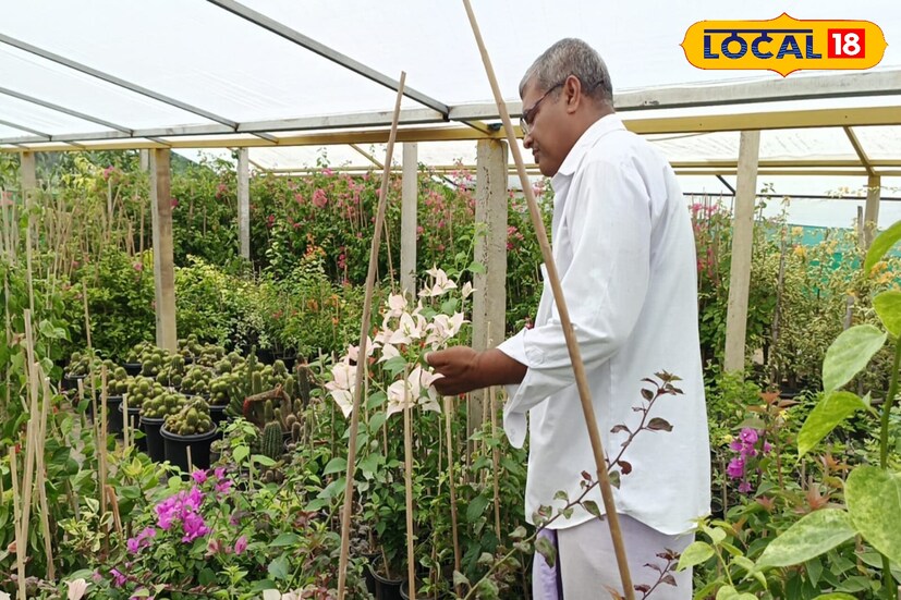 নন্দকুমার কোলসর এলাকার নার্সারি ব্যবসায়ী স্বপন কুমার প্রধান জানান, বর্তমান সময়ে নার্সারি অনেকটাই লাভজনক ব্যবসা। বিশেষ করে স্বনির্ভর হওয়ার ক্ষেত্রে বিভিন্ন ফুল ও ফল গাছের নার্সারি অত্যন্ত লাভজনক। বাড়ির ছাদ বা বাড়ির আশে পাশে এক টুকরো জমি থাকলে এই নার্সারির মাধ্যমে মাসে ১৫ থেকে ২০ হাজার টাকা একজন রোজগার করতে পারবে।