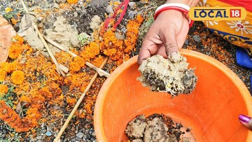 পতিতালয়ের