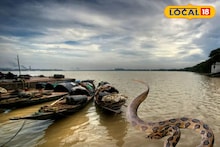 নবদ্বীপের বিভিন্ন জায়গায় বিষাক্ত চন্দ্রবোড়ার উপদ্রব! এমন ভয়ঙ্কর সাপ এল কোথা থেকে!