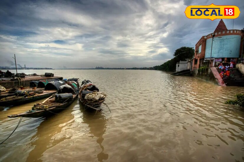 পোর্ট এলাকার স্থানীয় বাসিন্দাদের অভিমত একসময় এই সমস্ত এলাকাতে বিষাক্ত চন্দ্রবোড়া সাপের উপদ্রব ছিল না বললেই চলে। তারা জানান প্রথম তারা চন্দ্রবোড়া সাপের উপদ্রব লক্ষ্য করেন এই পোর্ট এলাকাতেই। তবে এখানেই আসছে প্রশ্ন, কিভাবে সেই পোর্ট এলাকায় এল চন্দ্রবোড়া সাপ?