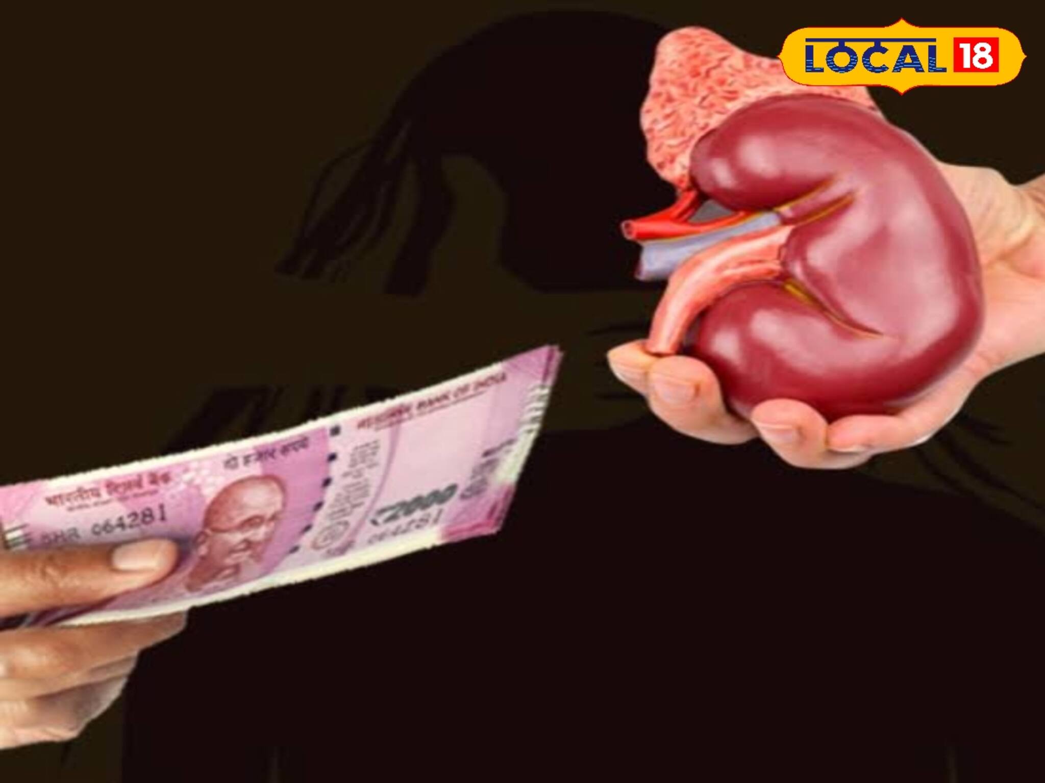 মোটা অঙ্কের অর্থের লোভে কিডনি বিক্রি ! জেলায় সক্রিয় পাচার চক্র