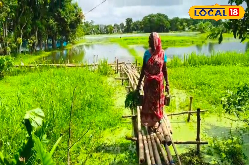 বছরের অধিকাংশ সময় কৃষিজমির উপর হাঁটু সমান জল জমে থাকে। ফলে বিকল্প কোনও রাস্তা না থাকায় বাঁশের মাচা তৈরি করেই যাতায়াত করতে হচ্ছে গ্রামবাসীদের। (ছবি ও তথ্যঃ মিজানুর রহমান)