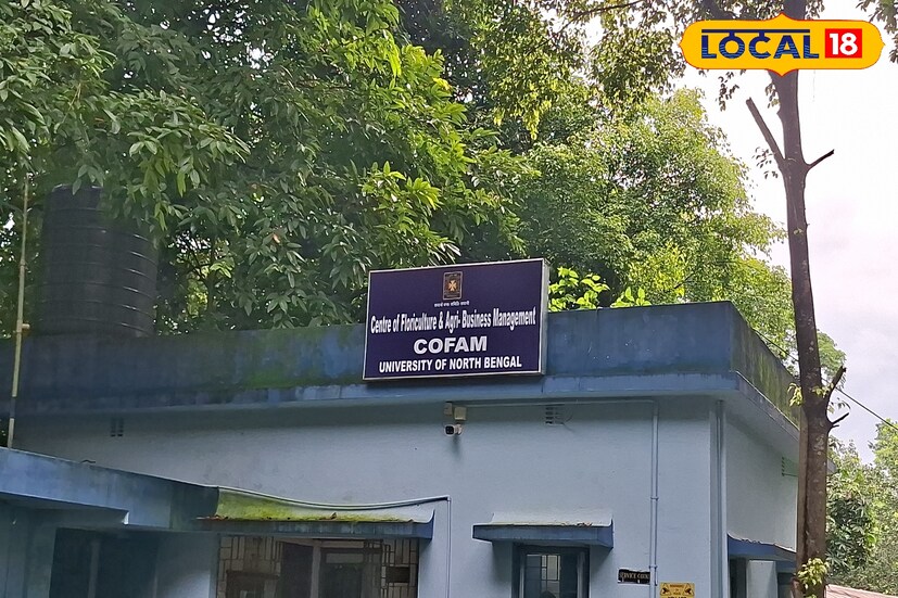 উত্তরবঙ্গ বিশ্ববিদ্যালয়ের Centre for Floriculture and Agri-Business Management (COFAM)-এর উদ্যোগে এই পরীক্ষামূলক প্রকল্প শুরু হয়েছে। অধ্যাপক অমরেন্দ্র পান্ডে জানালেন, “আমরা আসলে পরীক্ষা করতে চাই উত্তরবঙ্গের জলবায়ু ও মাটিতে ম্যাঙ্গোস্টিন কতটা ভালো জন্মায়। যদি সফল হই, তবে স্থানীয় কৃষকদের এই ফলের চাষে প্রশিক্ষণ দিয়ে আয়ের নতুন রাস্তা খুলে দেওয়া যাবে।” ছবি ও তথ্য : ঋত্বিক ভট্টাচার্য 