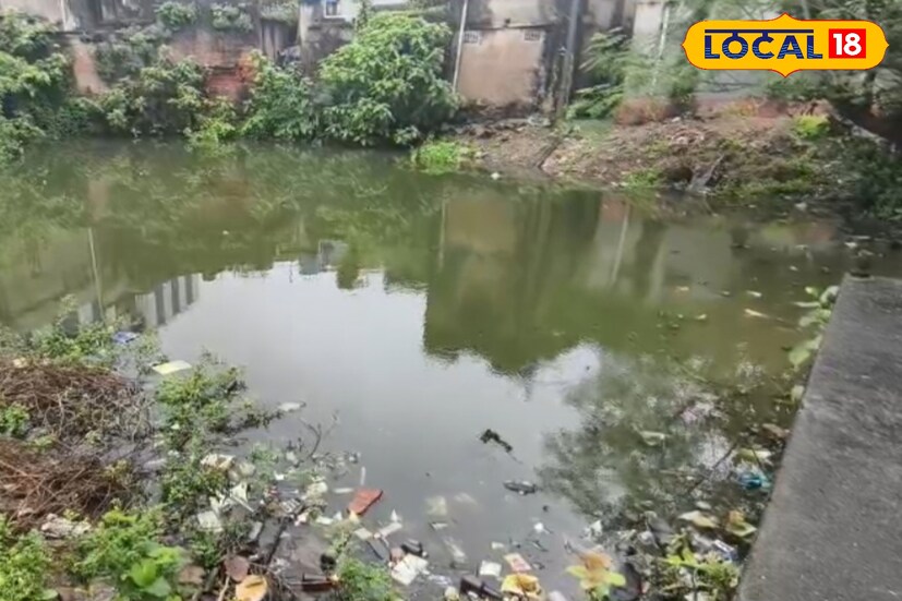 শুক্রবার বিষ্ণুপুর পৌর শহরের প্রায় দেড়শ ডোবা বা বদ্ধ জলাশয়ে ২৫ হাজার গাপ্পি মাছ ছাড়া হল। (ছবি ও তথ্যঃ অনিকেত বাউরী)