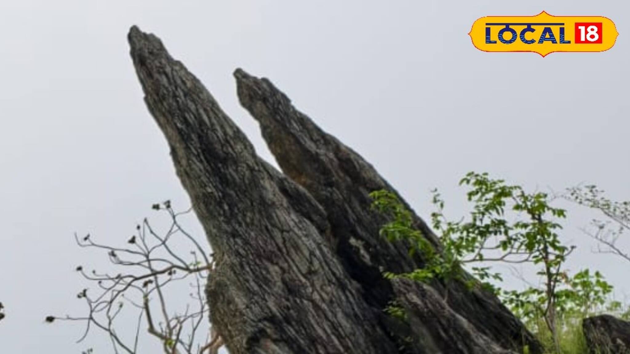 Durga Puja Travel: নামেই ‘হত্যা‘! সপ্তাহান্তের ছোট্ট ছুটিতে বেড়াতে আসুন শাল-পিয়ালে ভরে থাকা টিলায় ঘেরা খুনডুংরিতে