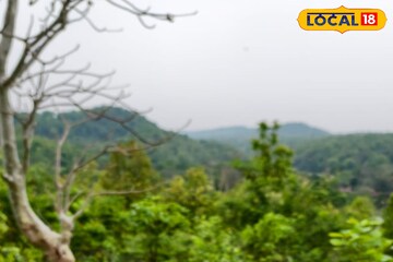 নামেই ‘হত্যা‘! সপ্তাহান্তের ছোট্ট ছুটিতে বেড়াতে আসুন শাল-পিয়ালে ভরা খুনডুংরিতে