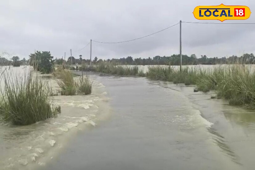 কার্তিক লোহার নামে এক স্থানীয় বাসিন্দা জানান, রাস্তায় জল উঠে যাওয়ার ফলে ছাত্র-ছাত্রী, এলাকার মানুষের যাতায়াত বন্ধ। এছাড়াও অ্যাম্বুলেন্স গ্রামে প্রবেশ করতে পারছে না। নারায়ণপুর থেকে ধগড়িয়া যাওয়ার রাস্তা এখন জলমগ্ন। এর ফলে যোগাযোগ একেবারে বিচ্ছিন্ন হয়ে পড়েছে।[ছবি ও তথ্য: অনিকেত বাউরী]
