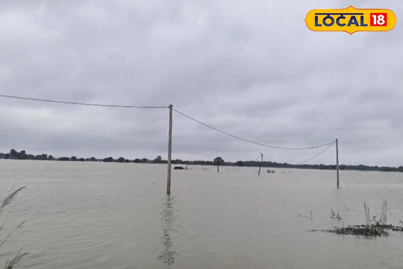 এছাড়া এলাকার প্রায় হাজার হাজার বিঘা ধানের জমি ও বিভিন্ন সবজি চাষের জমি এখন জলের তলায়। ফলে রীতিমতো মাথায় হাত চাষিদের। যেভাবে রাস্তার উপর জল উঠেছে তাতে যে কোন‌ও সময় ঘটে যেতে পারে বড়সড় দুর্ঘটনা। এই অবস্থাতেও বাধ্য হয়ে কিছু মানুষ প্রাণ হাতে নিয়ে যাতায়াত করছেন নারায়ণপুর ধগড়িয়ার এই রাস্তা দিয়ে।[ছবি ও তথ্য: অনিকেত বাউরী]