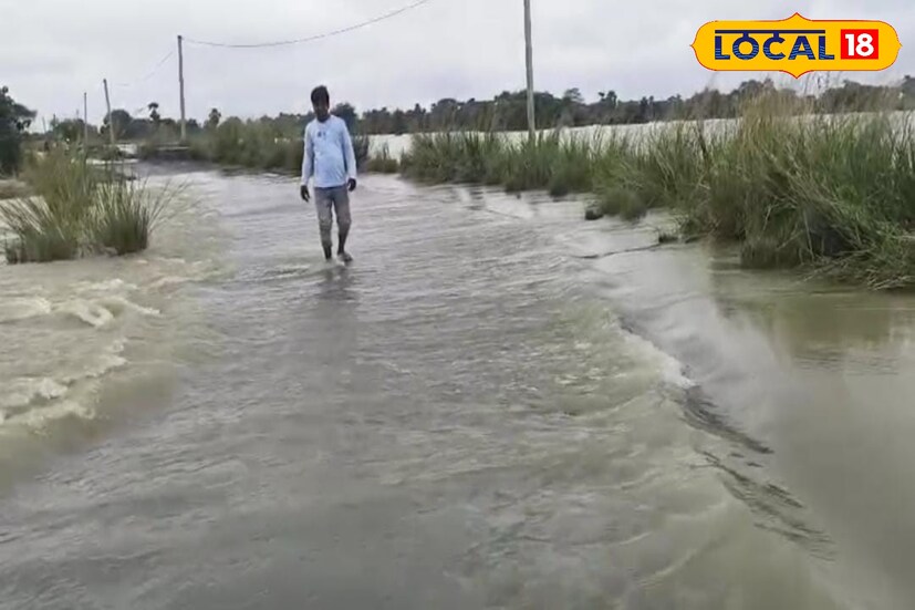 নারায়ণপুর গ্রামের পাশে ঢাকা শালী নদীর জল বৃদ্ধি পাওয়াতে পাত্রসায়রে যাওয়ার রাস্তার ওপর হাঁটু ভরা জল। নারায়ণপুর গ্রাম থেকে এই রাস্তা ধগড়িয়া বাঁকুড়া বর্ধমান রাজ্য সড়কে মিশেছে। সেই রাস্তার উপর জল জমে থাকা রীতিমত যোগাযোগ বিচ্ছিন্ন হয়ে পড়েছে ১৫ থেকে ১৬ টি গ্রাম![ছবি ও তথ্য: অনিকেত বাউরী]