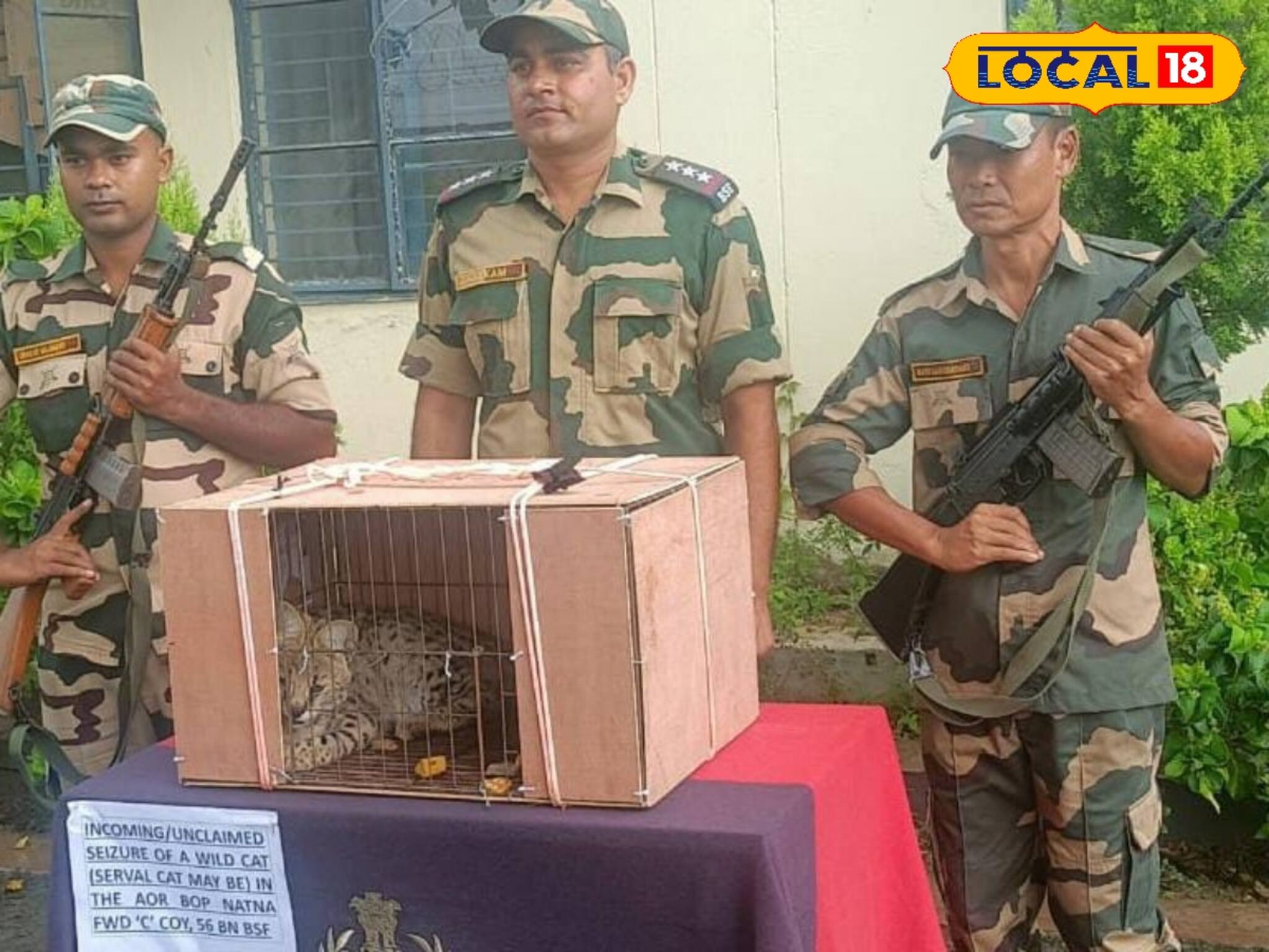 বাক্স ফেলে দৌড় লাগাল বাংলাদেশের দিকে, বাক্স খুলতেই চোখ কপালে BSF-এর! উদ্ধার ভয়ঙ্কর প্রাণী