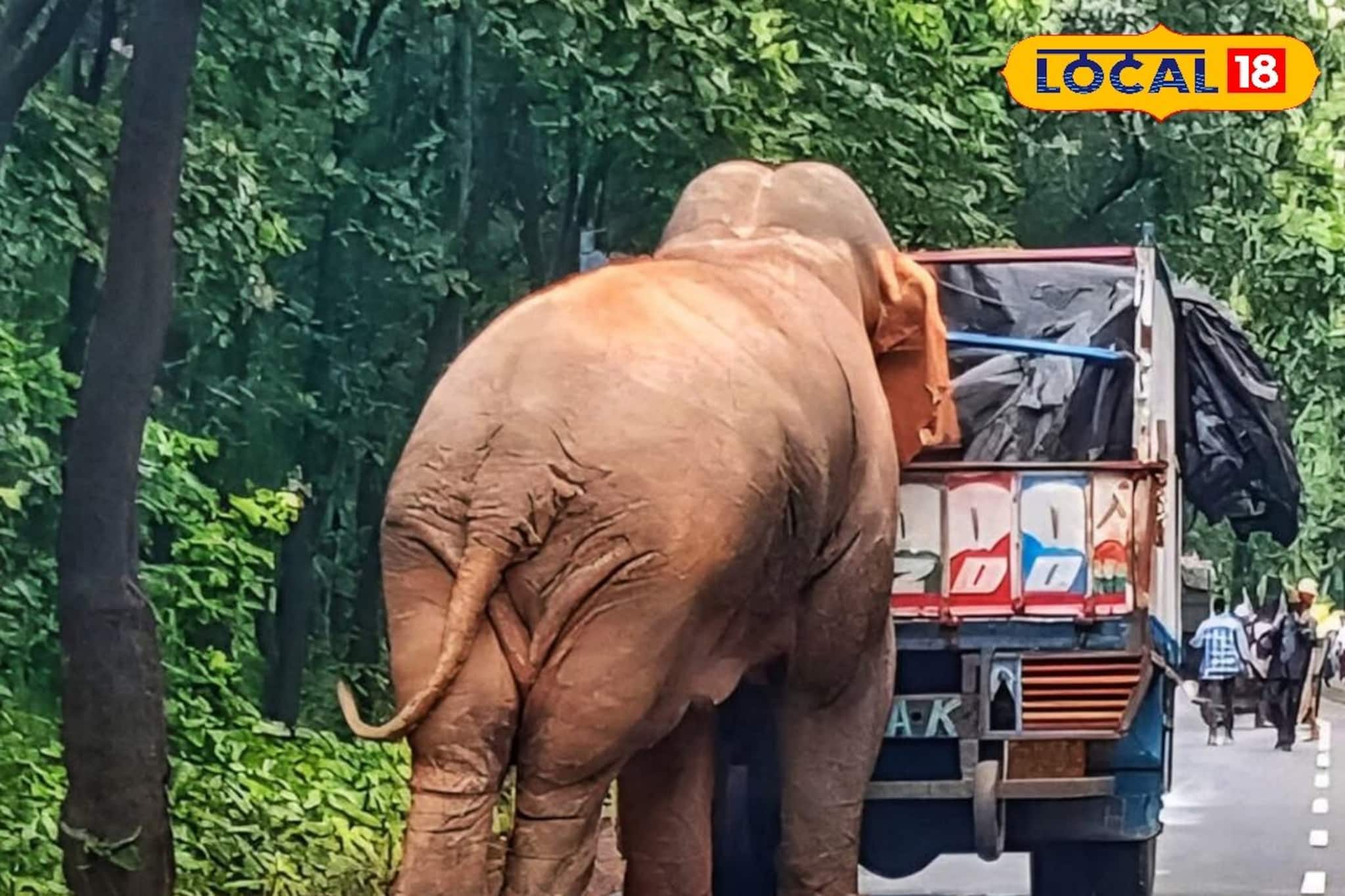 মাঝরাস্তায় দাঁড়িয়ে রামলাল! গাড়ি আটক, ভয়ে আত্মারাম খাঁচা পথচলতি মানুষের