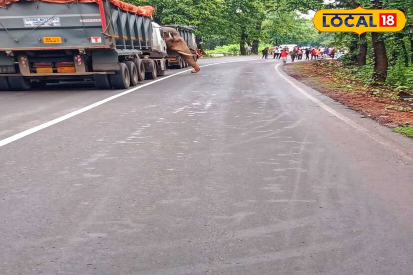 ওই এলাকার স্থানীয় বাসিন্দা জয়ন্ত মাহাত বলেন ‘প্রতিনিয়তই হাতিটি এভাবে ঘুরে বেড়ায়, যার ফলে সকলেই খুব আতঙ্কিত।’ এদিন তার রাস্তা আটকানোর খবর ছড়িয়ে পড়তেই ভিড় জমায় স্থানীয়রা। (ছবি ও তথ্য - তন্ময় নন্দী) 