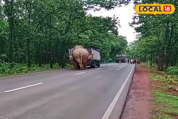 মাঝরাস্তায় দাঁড়িয়ে রামলাল! গাড়ি আটক, ভয়ে আত্মারাম খাঁচা পথচলতি মানুষের