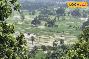 ঝিরঝিরে বৃষ্টিতে জঙ্গলের রোমাঞ্চ, পাহাড়-নদী-সবুজের সমারোহে মোড়া বেলপাহাড়ি! ঝিরঝিরে বৃষ্টিতে জঙ্গলের রোমাঞ্চ, পাহাড়-নদী-সবুজের সমারোহে মোড়া বেলপাহাড়ি!