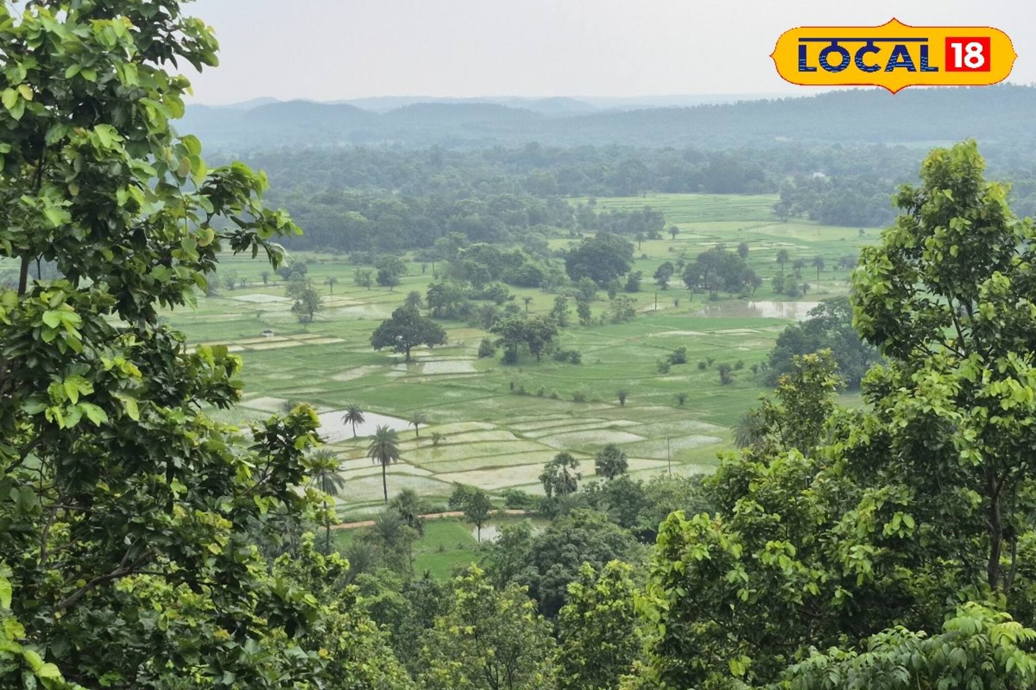 Weekend Trip To Jhargram: ঝিরঝিরে বৃষ্টিতে জঙ্গলের রোমাঞ্চ, পাহাড়-নদী-সবুজের সমারোহে মোড়া বেলপাহাড়ি!