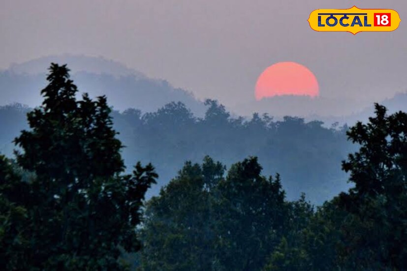 বাংলা ঝাড়খণ্ড সীমানা সংলগ্ন বাংলার দক্ষিণবঙ্গে পশ্চিম প্রান্তের জেলা গুলিতে হাতির হানা লেগে থাকে।‌ ঝাড়গ্রাম, পুরুলিয়া, বাঁকুড়ার বহু নিরীহ মানুষ হাতির হানায় প্রাণ হারিয়েছেন। নষ্ট হয়েছে তাঁদের ফসল। এদিকে, নানান দুর্ঘটনায় হাতিরও মৃত্যু হয়েছে। সেই পরিস্থিতির দিকে তাকিয়েও এবার হাতিদের রক্ষার্থে তৈরি হয়েছে প্রকল্প, যার নাম ‘ময়ূর ঝর্ণা।’ ময়ূরঝর্ণা' প্রকল্পের আওতায় ওই এলাকায় হাতিদের জন্য পর্যাপ্ত খাবার, ফলের বাগান, বিচরণের জায়গা, পানীয় জলের ব্যবস্থা রাখা থাকবে। মোট ১২ হাজার একর জায়গা জুড়ে গড়ে তোলা হচ্ছে হাতিদের জন্য অভয়ারণ্যের মত এই এলাকা। 