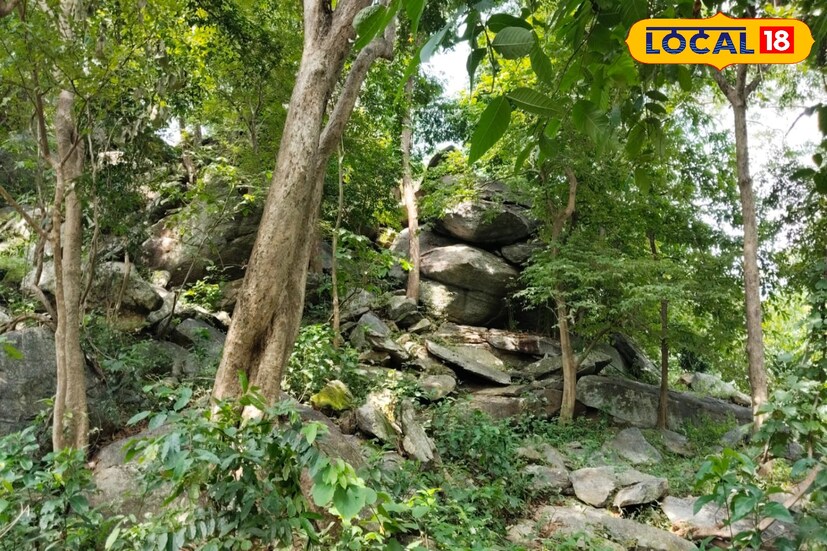 ঝাড়গ্রাম শহর থেকে প্রায় ৬৪ কিলোমিটার দূরে দিগন্ত – প্রসারিত লালজল পাহাড়। জঙ্গলের মধ্যদিয়ে ঝাঁ-চকচকে চড়াই উতরাই রাস্তা অতিক্রম করে শেষ তিন কিলোমিটার পাহাড়ী পথে লালজল গুহাতে পোছানো যায় । পাহাড়ের ২০০ মিটার উচ্চতায় পাথর কেটে গুহাটি একদা নির্মিত হয়েছিল । অনুমান করা হয় প্রায় পাঁচ হাজার বছর আগে এটা ছিলো আদিম মানুষের আবাসস্থল । গুহার মধ্যে প্রত্নতাত্ত্বিক সমীক্ষায় প্রস্তরায়ূধ পাওয়া গেছে, যা কোলকাতার জাদুঘরে সংরক্ষিত । গুহাটিতে হামাগুড়ি দিয়ে ঢুকতে হয় । বর্তমানে সজারু ও বন্য জন্তুর বাস । পাহাড়ের মাথা থেকে দূরের দৃশ্য নয়নাভিরাম । 