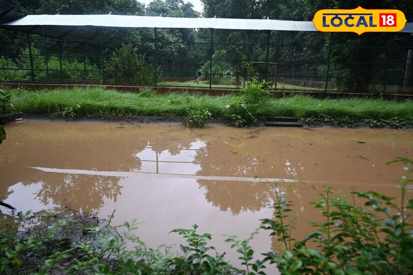 পূর্ব বর্ধমান, সায়নী সরকারঃ জলমগ্ন বর্ধমান জুলজিক্যাল পার্ক, জলবন্দী পশুপাখিরা। তাই বাধ্য হয়ে অনির্দিষ্টকালের জন্য চিড়িয়াখানা বন্ধ রেখেছেন কর্তৃপক্ষ। জল কমে গেলেই পর্যটকদের জন্য জু খোলা হবে বলে জানানো হয়েছে।