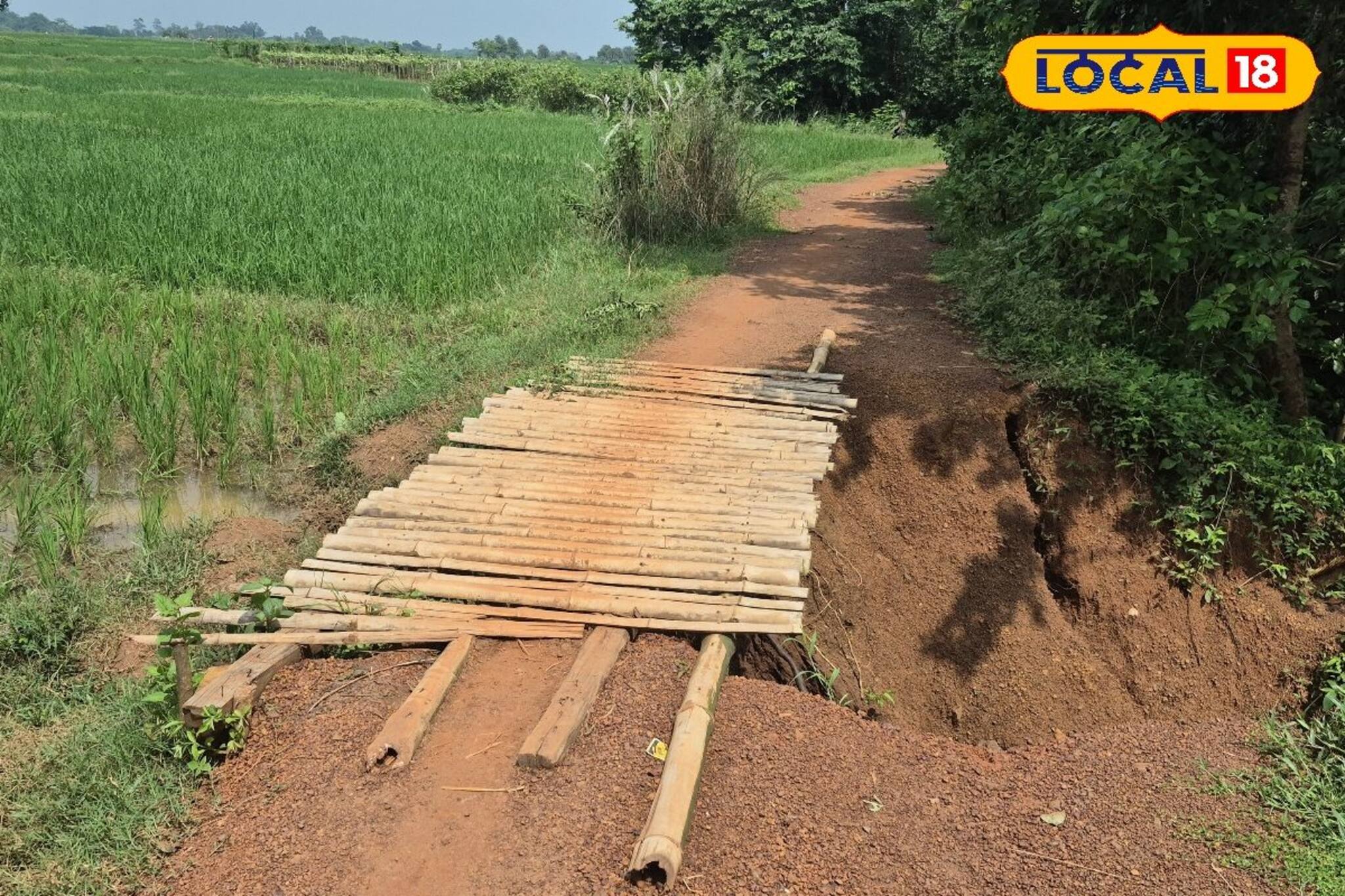 টানা বৃষ্টিতে তছনছ বাঁশের সাঁকো! ঘটনাস্থল পরিদর্শন করল ব্লক প্রশাসন 