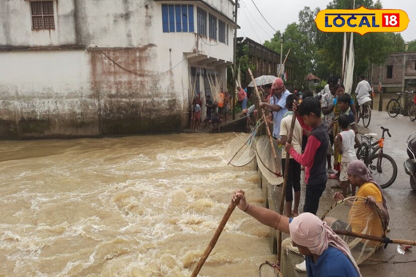 মনশুকা গ্রামের বাসিন্দা শুকদেব দলুই জানান—এই বন্যা তাদের জন্য একদিকে ভোগান্তি, কিন্তু অন্যদিকে মাছ ধরার সুযোগও এনে দিয়েছে। “ছোট থেকে বড় মাছ পড়ছে জালে, কেউ বাড়িতে নিচ্ছে তো কেউ বিক্রি করছে। আবার মাছ কিনতেও মানুষ ভিড় করছেন।”—তিনি বলেন। এমন ছবিই এখন ঘাটালের বিভিন্ন বন্যাগ্রস্ত এলাকায়। ( ছবি ও তথ্য মিজানুর রহমান )