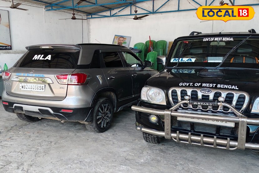 অন্যদিকে বড়ঞাতে রেশনের চালের ডিস্ট্রিবিউটার তাঁর বাবা বিশ্বনাথ সাহা। বর্তমানে পৈতৃক ব্যবসা দেখাশুনো করতেন তিনি। যদিও ২০১৩ সালে প্রাথমিক শিক্ষকতা ত্যাগ করে বীরভূম জেলার নানুরের দেবগ্রাম হাইস্কুলের শিক্ষকতা করেন। পরে ট্রান্সফার নিয়ে কুন্ডল হাইস্কুলে যোগদান করছিলেন ২০২১ সালে, যদিও বিধায়ক নির্বাচিত হওয়ার পরেই স্কুলে ছুটি নেন তিনি।