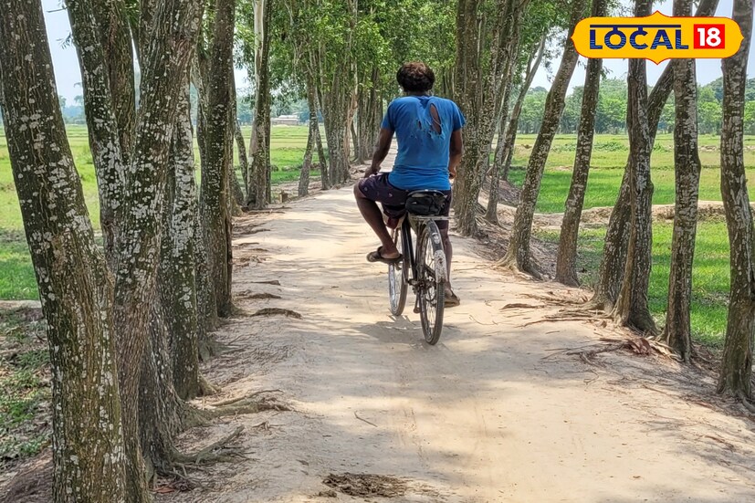 একইভাবে মঙ্গলবার পূর্ব মেদিনীপুর জেলাজুড়েও একই পরিস্থিতি থাকবে। সৈকত নগরী দিঘাতে মেঘলা আকাশ থাকবে সারাদিন। দুপুরের পর হালকা বৃষ্টি হতে পারে বলে হাওয়া অফিস সূত্রে খবর। স্থানীয় হাওয়া অফিস সূত্রে জানা গিয়েছে, এদিন দিঘার সর্বোচ্চ তাপমাত্রা থাকবে ৩০ ডিগ্রি সর্বনিম্ন ২৭ ডিগ্রি। শুধু তাই নয়, অস্বস্তিকর পরিস্থিতি বজায় থাকবে জেলাজুড়ে। এছাড়াও, কাঁথি, মান্দারমণি-সহ শিল্প শহর হলদিয়া, পাঁশকুড়াতেও একই পরিস্থিতি থাকবে। (তথ্য ও ছবি: রঞ্জন চন্দ)