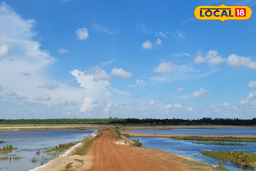 বুধবার পর্যন্ত ভারী বৃষ্টির পূর্বাভাস শুনিয়েছিল হাওয়া অফিস। তবে মঙ্গলবার সকাল থেকে জেলার বেশ কিছু জায়গায় মেঘলা আকাশ থাকলেও বেশ কিছু জায়গায় রোদ ঝলমলে আবহাওয়া রয়েছে। শুধু তাই নয়, জেলার তাপমাত্রাও বেশ ঊর্ধ্বমুখী। স্বাভাবিকভাবে বৃষ্টি প্যাচপ্যাচে আবহাওয়া থেকে কিছুটা স্বস্তি মিলেছে সকলের। তবে চলতি সপ্তাহ জুড়ে হালকা থেকে মাঝারি বৃষ্টির আশঙ্কা রয়েছে।(তথ্য ও ছবি: রঞ্জন চন্দ)