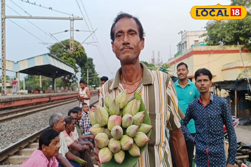 টানা বৃষ্টির কারণে পদ্ম ফুলের কুঁড়ি আসছে না। ফলে পুজোর মুখেই পদ্মফুলের যোগান কম থাকবে। (ছবি ও তথ্য সৈকত শী)