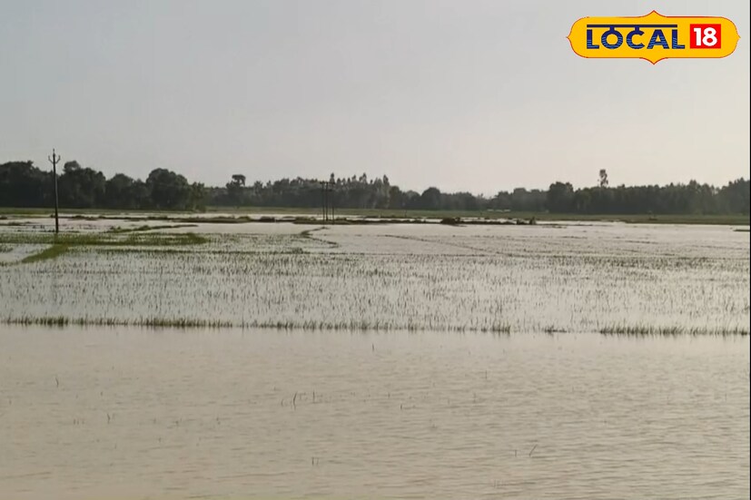 সাঁকরাইল, ঝাড়গ্রাম, তন্ময় নন্দী: টানা কয়েকদিনের প্রবল বর্ষণে সুবর্ণরেখা নদী ও ডুলুং নদীর জলস্তর বেড়ে বিপর্যস্ত হয়ে পড়ে ঝাড়গ্রাম জেলার সাঁকরাইল ব্লকের আন্ধারী গ্রাম পঞ্চায়েতের বিস্তীর্ণ চাষের জমি। জলের তলায় গিয়েছে বিঘের পর বিঘে ধান চাষের জমি। ক্ষতি হয়েছে সবজীর চাষেও। 