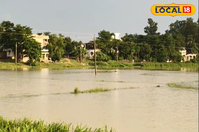প্রতিবছরই বৃষ্টির কারণে সাঁকরাইল ব্লকের আন্ধারী, বহড়াদাঁড়ি, ভগবানচক, তেঁতুলিয়া, বৈঞ্চা ও বিরডাহি গ্রামের জমি জলের তলায় চলে যায়। এই বছর বৃষ্টির পরিমাণ বাড়ায় জলমগ্ন হয়ে হয়ে রয়েছে ধানের জমি। আর তাতেই বিপুল ক্ষয়ক্ষতির আশঙ্কা করছেন এখানকার বাসিন্দারা। (ছবি ও তথ্য - তন্ময় নন্দী)