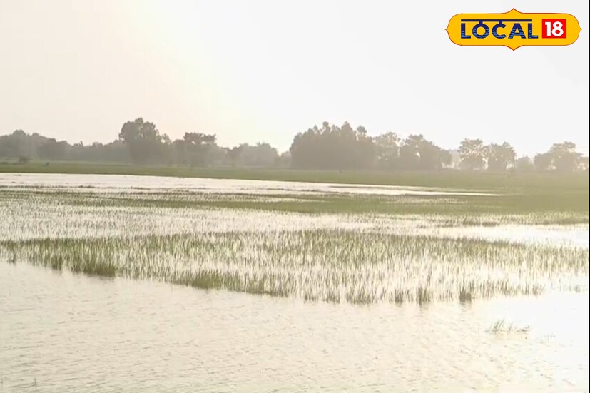 পঞ্চায়েত সমিতির কৃষি কর্মাধ্যক্ষ মথুর মাহাত জানিয়েছেন, “চাষের জমির উপর জল জমলে অবশ্যই ক্ষতি হয়। কৃষি দপ্তর থেকে আমরা কৃষকদের ফসল বিমার আওতায় এনেছি। ক্ষয়ক্ষতি হলে চাষিদের যথাযথ ক্ষতিপূরণ দেওয়া হবে। বর্তমানে সুবর্ণরেখা ও ডুলুং—দুই নদীরই জলস্তর কমতে শুরু করেছে।” 