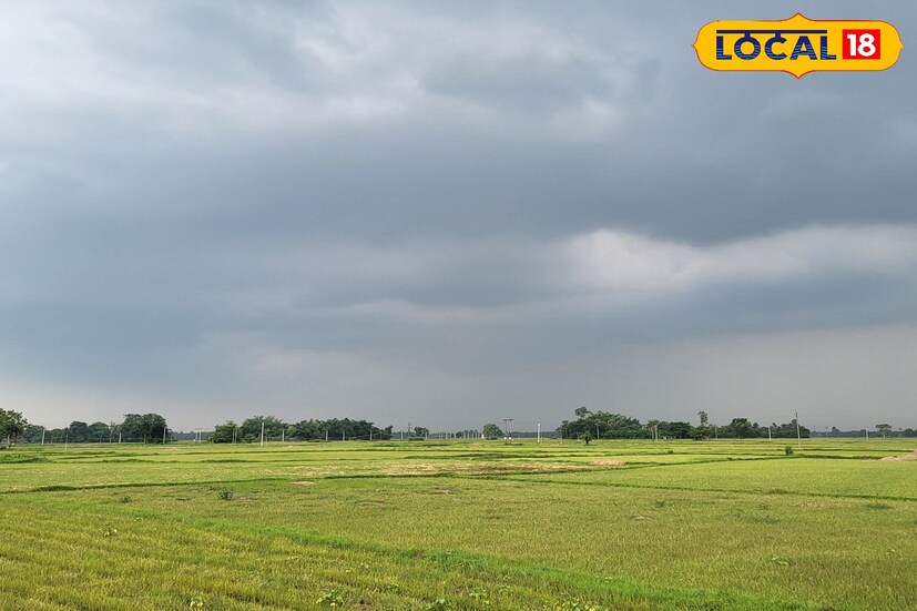 *উত্তরবঙ্গে আজ বৃষ্টির সম্ভাবনা কম। বজ্রবিদ্যুৎ-সহ বিক্ষিপ্তভাবে হালকা মাঝারি বৃষ্টি। বৃষ্টির সঙ্গে ৩০-৪০ কিলোমিটার গতিবেগে ঝোড়ো বাতাস বইতে পারে। কাল ভারী বৃষ্টির সম্ভাবনা আলিপুরদুয়ার ও জলপাইগুড়ি জেলাতে। আগামী কয়েকদিন ভারী বৃষ্টির কোনও সম্ভাবনা নেই। বিক্ষিপ্তভাবে বজ্রবিদ্যুৎ-সহ বৃষ্টি চলবে আগামী কয়েকদিন।