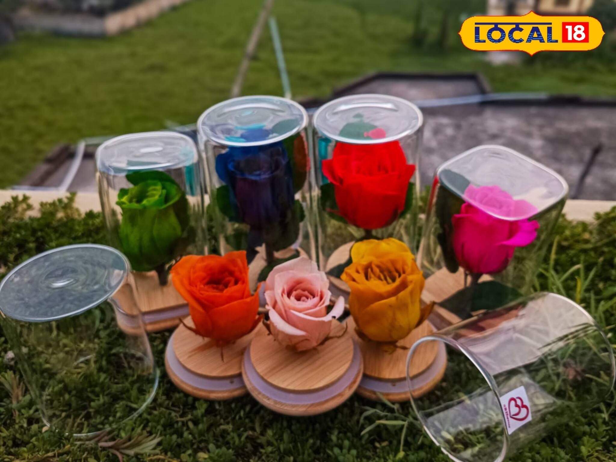 প্রিয়জনকে দেওয়া গোলাপ ৩ বছর টাটকা থাকবে! এক দুর্দান্ত নতুন পেশার সুলুক সন্ধান