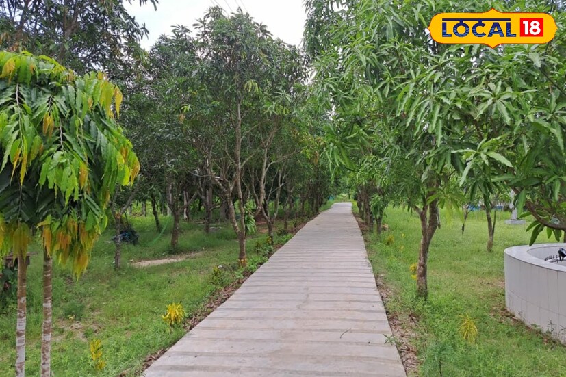 পশ্চিমবঙ্গ পঞ্চায়েত ও গ্রামোন্নয়ন দফতর অধীনে সিএডিসি তমলুকের উদ্যোগে গড়ে উঠেছে এই ফার্ম হাউস। কী রয়েছে এই ইকো অ্যান্ড ন্যাচারাল হাব ফার্ম হাউসে! ইড়িঞ্চি ক্যানেলের ধারে গড়ে ওঠা এই ফার্ম হাউসে রয়েছে দুটি কটেজ। একটি ডরমেটারি, রেস্টুরেন্ট। চা কফি স্ন্যাকস সহ পাওয়া যাবে লাঞ্চ ও ডিনার। ঘোরার জন্য বিশাল আমবাগান, বাগানে দোলনার ব্যবস্থা করা হয়েছে, ছেলেমেয়েদের খেলার জন্য পার্ক, সবজি চাষের বাগান, পুকুর। পুকুর ও ইড়িঞ্চি ক্যানেলে বোটিং এর ব্যবস্থা করা হয়েছে। আলাদা স্নানঘর এবং পুরুষ ও মহিলাদের জন্য আলাদা আলাদা টয়লেট। গাড়ি পার্কিংয়ের সুবিধা। এছাড়াও রয়েছে একটি কমিউনিটি হল।