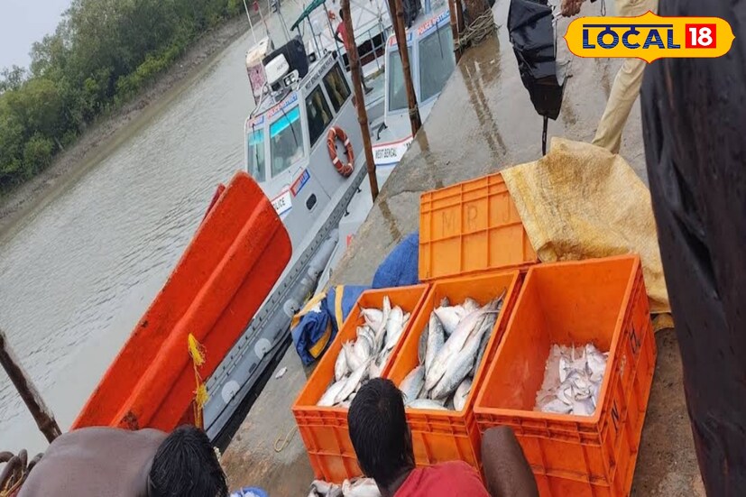 ইলিশ মাছ এখানে খুব যত্ন সহকারে বরফের মধ্যে সংরক্ষণ করা হয়। বাইরেও এই মাছ পাঠানো হয়। এখানে মাছের মেলা দেখতে অনেকেই আসেন।