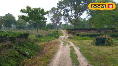 প্রাণ গেল ষষ্ঠ শ্রেণির ছাত্রর প্রাণ গেল ষষ্ঠ শ্রেণির ছাত্রর
