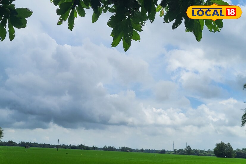 টানা বেশ কয়েকদিন ধরে বৃষ্টি হচ্ছে পশ্চিম মেদিনীপুর এবং পূর্ব মেদিনীপুর জেলা জুড়ে। অন্যান্য বছরে তুলনায় এ বছর বৃষ্টিপাতের পরিমাণ বেশি। মঙ্গলবার থেকে আবহাওয়ার সামান্য উন্নতি হলেও চলতি সপ্তাহে বৃষ্টির সম্ভাবনা রয়েছে। হাওয়া অফিসের তথ্য অনুযায়ী, ভারী বৃষ্টি না হলেও হালকা থেকে মাঝারি বৃষ্টি হতে পারে দুই জেলায়। (তথ্য ও ছবি: রঞ্জন চন্দ)