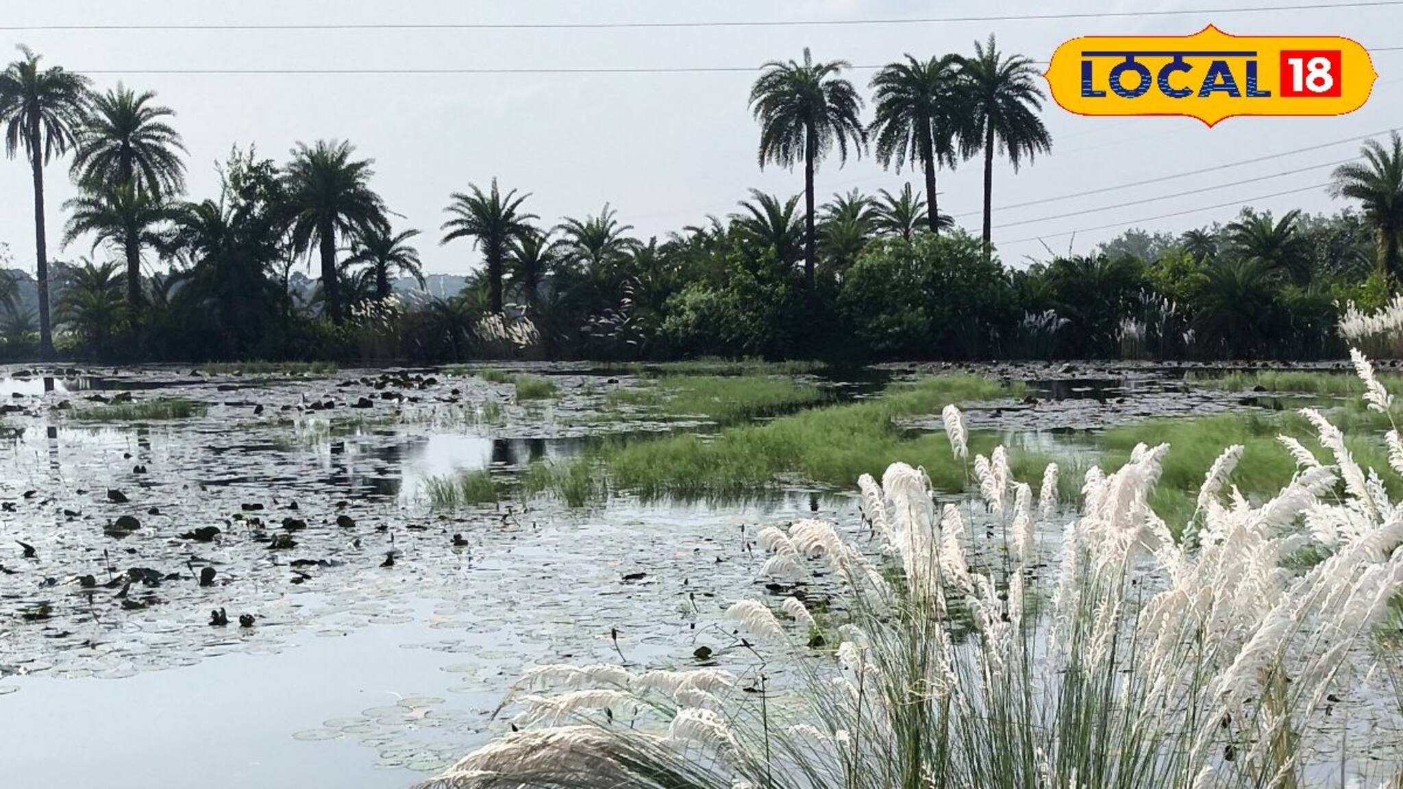 Weather Update: পেঁজা তুলোর মত মেঘ কবে দেখা যাবে বাঁকুড়ায়? আকাশের মুখ ভার