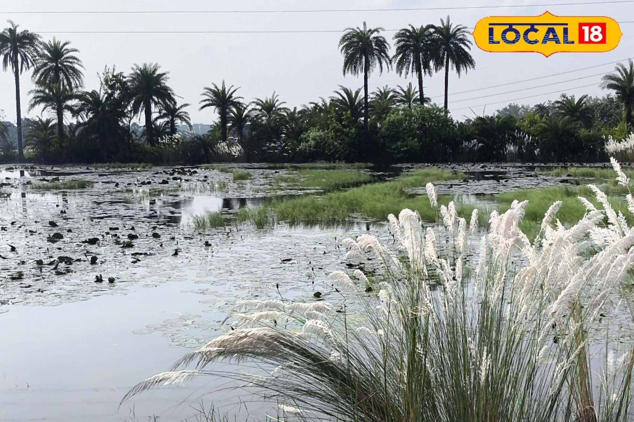 শরতের পেঁজা তুলোর মত মেঘ কবে আসবে?