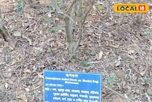 ভারতের বোটানিস্টরা গবেষণার জন্য ছুটে আসেন 'এই' মন্দিরে! কী অমূল্যরতন লুকিয়ে আশপাশে? জানুন
