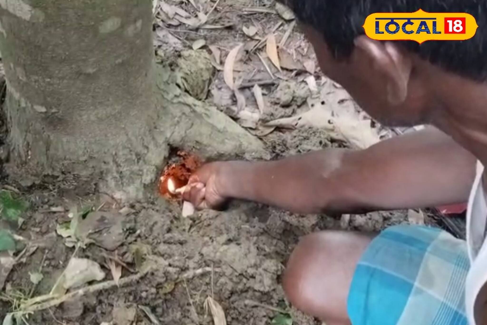 গাছের গর্ত থেকে বেরোচ্ছে রহস্যজনক আওয়াজ, চাঞ্চল্য গোটা এলাকায়